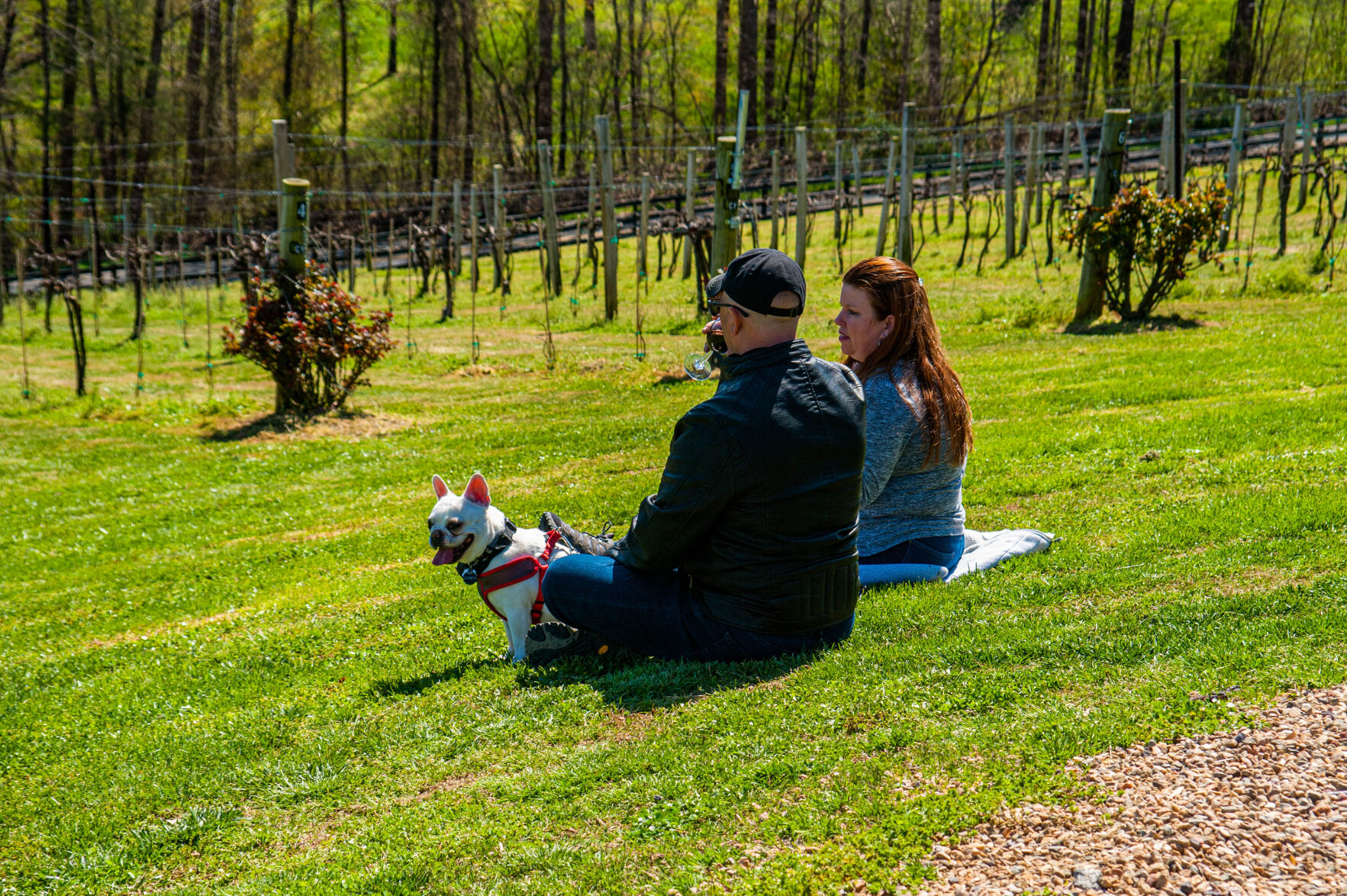20210403-LEE_1782-Edit.jpg